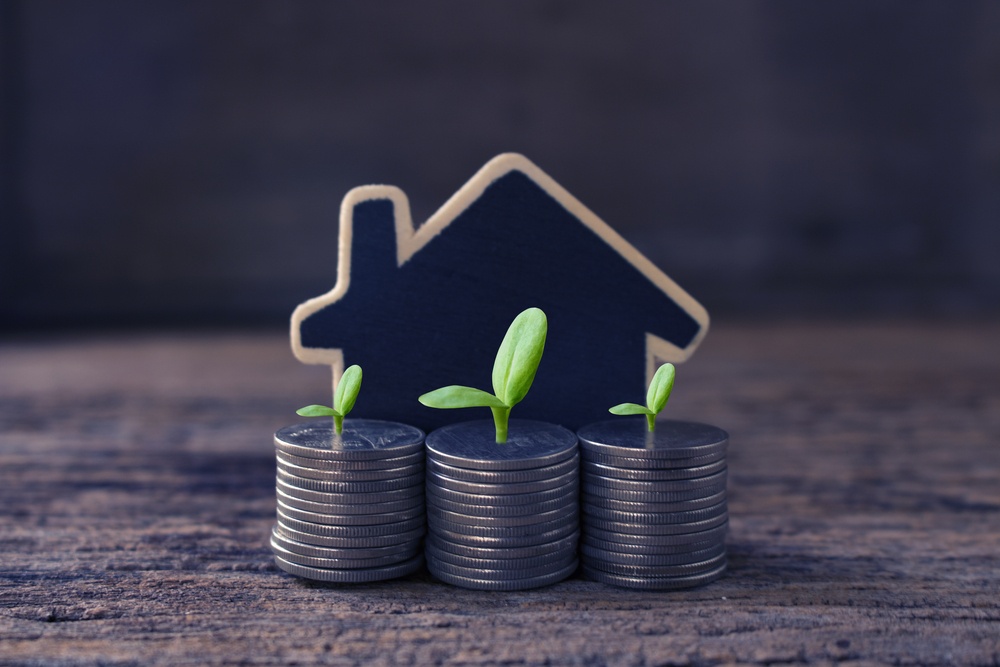 moldura de casa, moedas, mudas de plantas